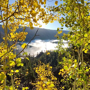 Fall Fun Photo Contest 27.jpg