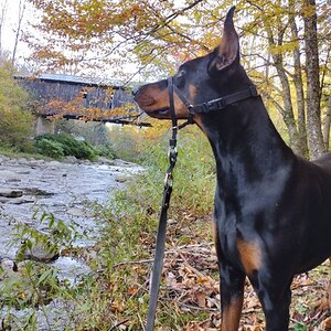 Fall Fun Photo Contest 28.jpg