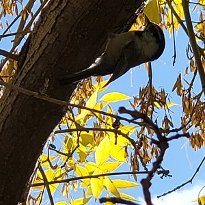 Fall Fun Photo Contest 30.jpg