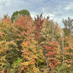 Fall Fun Photo Contest 32.jpg