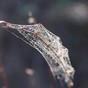 Fall Fun Photo Contest 37.jpg