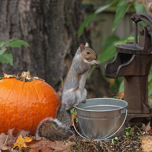 Fall Fun Photo Contest 38.jpg