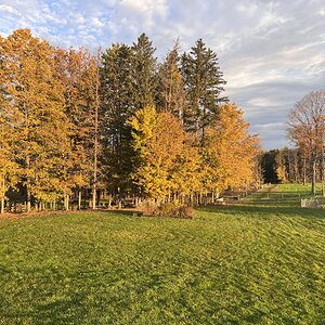 Fall Fun Photo Contest 39.jpg