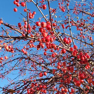 Fall Fun Photo Contest 44.jpg