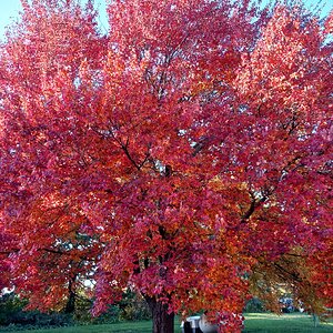 Fall Fun Photo Contest 45.jpg