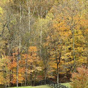 Fall Fun Photo Contest 47.jpg