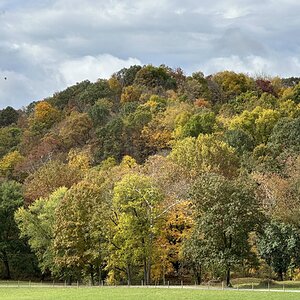 Fall Fun Photo Contest 48.jpg