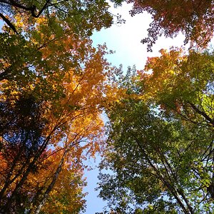 Fall Fun Photo Contest 49.jpg