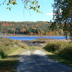 Fall Fun Photo Contest 50.jpg