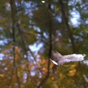 Fall Fun Photo Contest 51.png