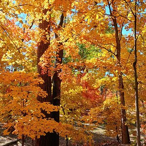 Fall Fun Photo Contest 52.jpg