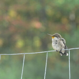 Fall Fun Photo Contest 53.jpg