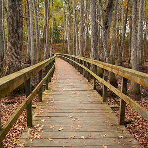 Fall Fun Photo Contest 54.jpg