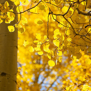 Fall Fun Photo Contest 58.jpg