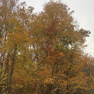 Fall Fun Photo Contest 60.jpg