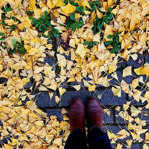 Fall Fun Photo Contest 61.jpg