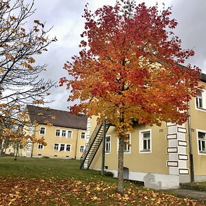 Fall Fun Photo Contest 62.jpg