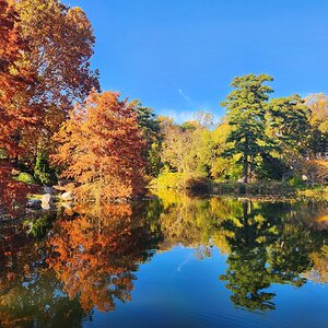 Fall Fun Photo Contest 63.jpg