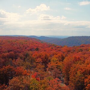Fall Fun Photo Contest 65.jpg