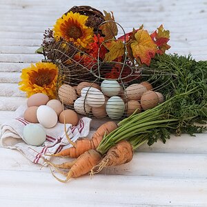 The Artistry of Eggs—A Still Life Photo Contest 8.jpg