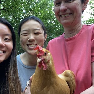 Family and Fowl Photo Contest 1.jpg