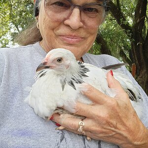Family and Fowl Photo Contest 2.jpg