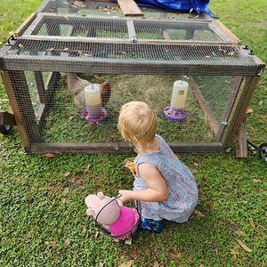 Family and Fowl Photo Contest 3.jpg
