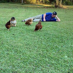 Family and Fowl Photo Contest 7.jpg