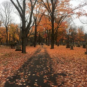 Fall Fun Photo Contest 91.jpg
