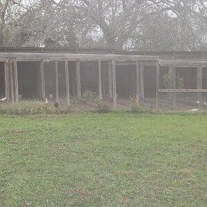 2024—Winter on the Farm Photo Contest 15.jpg