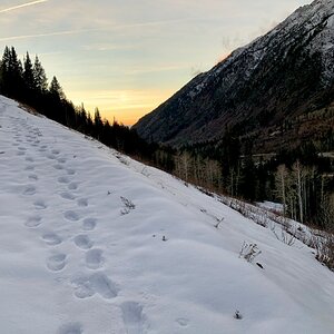 2024—Winter Photography Contest 17.jpg