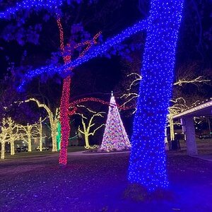 2024—Winter Photography Contest 19.jpg