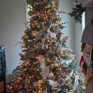 2024—Holiday Decorations Photo Contest 24.jpg