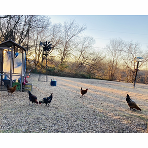 2024—Winter on the Farm Photo Contest 24.png