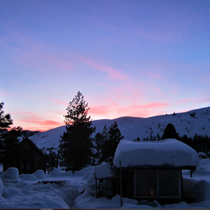 2024—Winter on the Farm Photo Contest 26.png