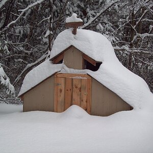 2024—Chilly Coop Contest! 10.jpg