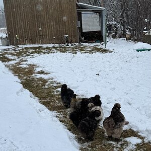 2024—Winter on the Farm Photo Contest 42.jpg