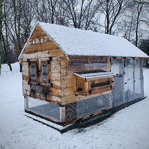 2024—Chilly Coop Contest! 12.jpg