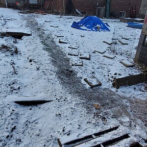 I cleaned a path to the duck-house to seduce the dux into the dux-house.