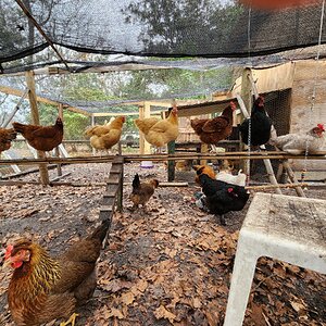 2024—Winter on the Farm Photo Contest 57.jpg