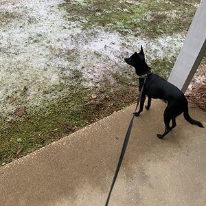2024—Winter on the Farm Photo Contest 58.jpg