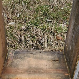 Moldy hive-box