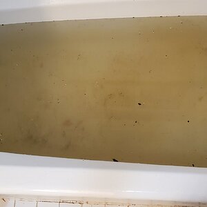How is that even possible? So much dirt from ONE duck?
