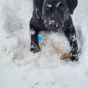 2024—Winter on the Farm Photo Contest 79.jpg