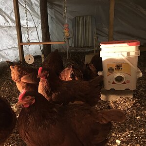2024—Winter on the Farm Photo Contest 89.jpg