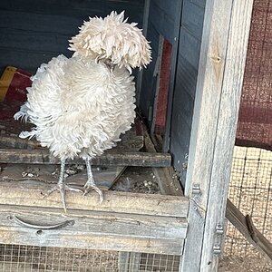 2024—Winter on the Farm Photo Contest 97.jpg