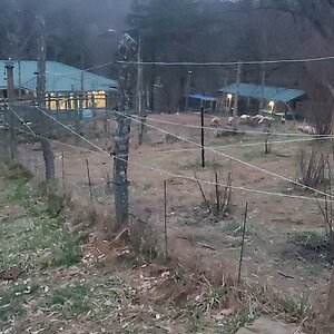 New Electric Garden Fencing
