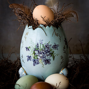 Natural Egg Photo Contest 5.jpg