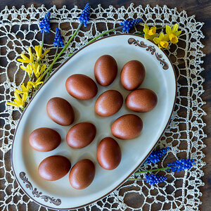 Natural Egg Photo Contest 10.jpg