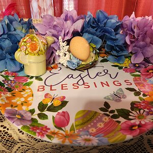 Natural Egg Photo Contest 12.jpg